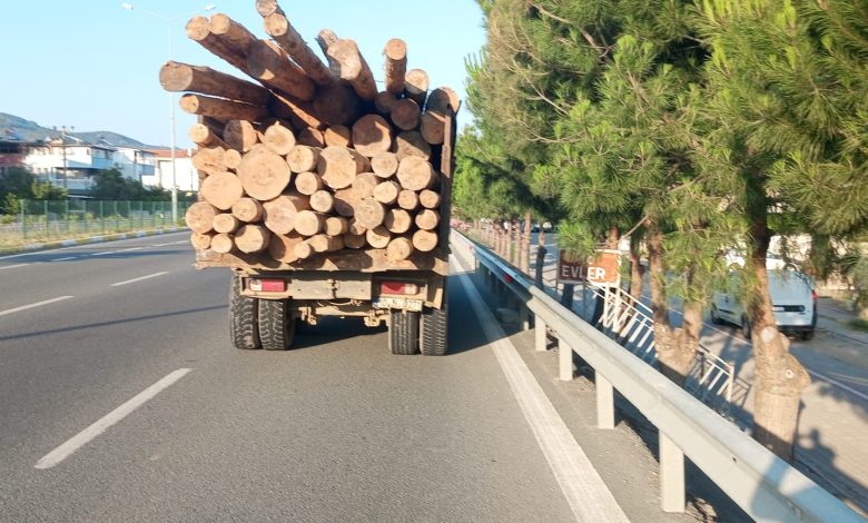 Edremit'te Minibüs ile Kamyon Çarpıştı: 1'i Ağır 6 Yaralı 1 WhatsApp Gorsel 2025 06 11 saat 22.04.38 40cafe29 |