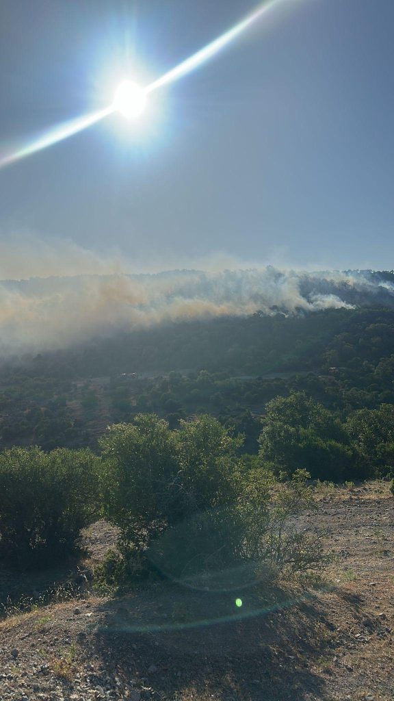 WhatsApp Gorsel 2025 06 25 saat 18.35.08 c2193335 |