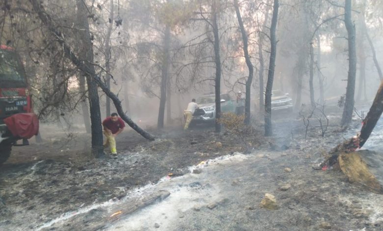 aliaga ve focada orman yangininda ekiplerin zorlu mucadelesi ae4c34cec47f |