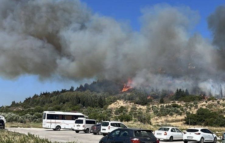 aliagada bir orman yangini daha 792e09c668ba |