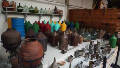 anadolu zeytin kulturu dunyanin en buyuk muzesinde yasatiliyor 0d571ae03c1b |