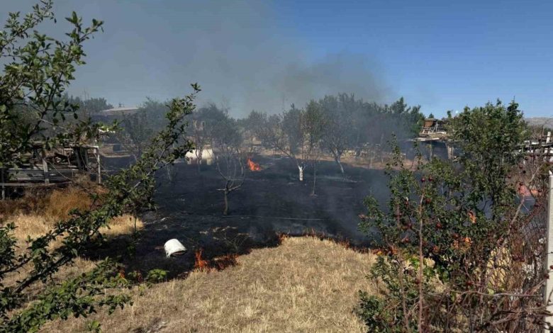 Ankara’da ot yangını korkuttu 1 ankarada ot yangini korkuttu 15239d64bb49 |