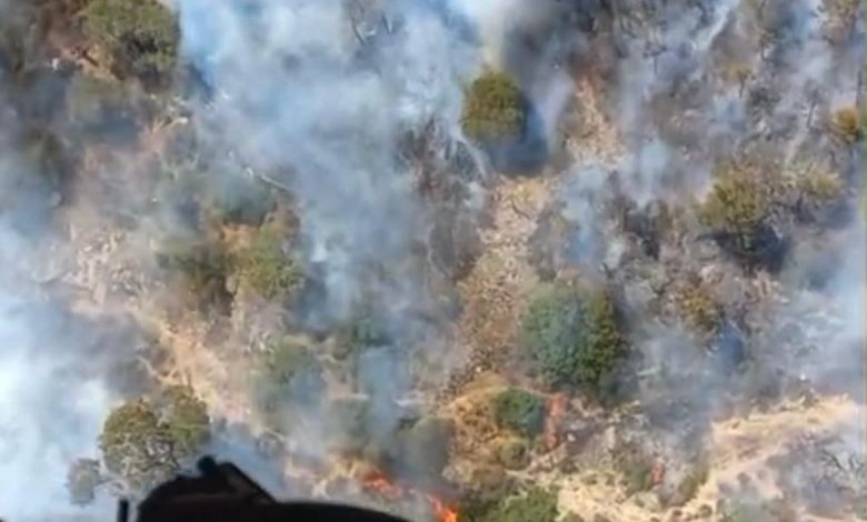 aricinin tutsusu ormani yakti d887c33e2ce9 |