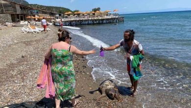 assos sahilinde olu caretta caretta bulundu 36a50f241782 |