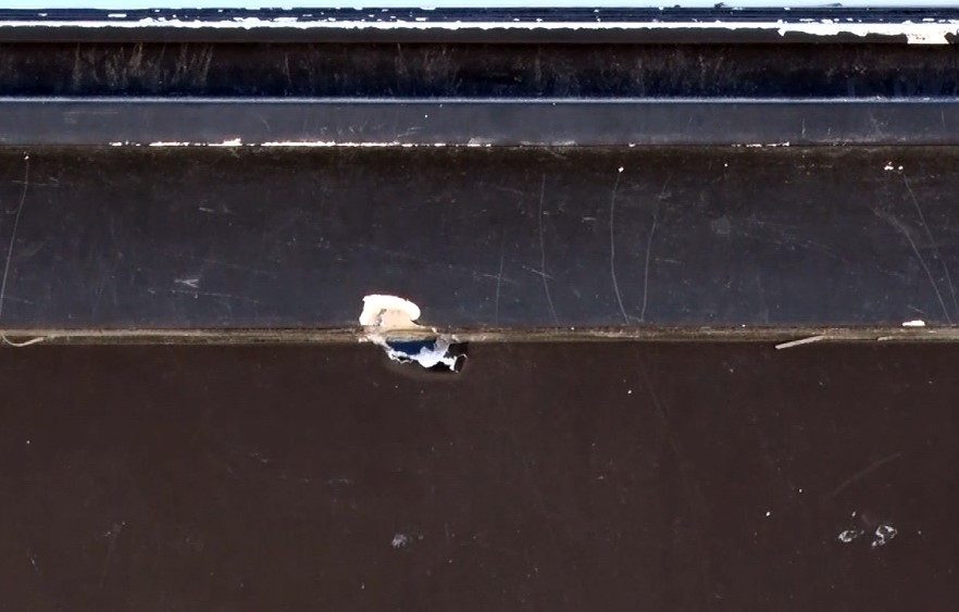 avcilarda biri kafeyi kursunladi digeri kaydetti 3d9e45cf25b8 |