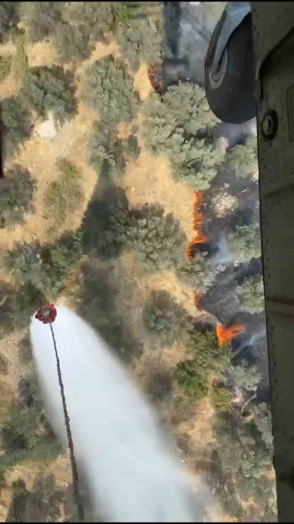 ayvalikta zeytinlik alanda yangin 4259bff23574 |