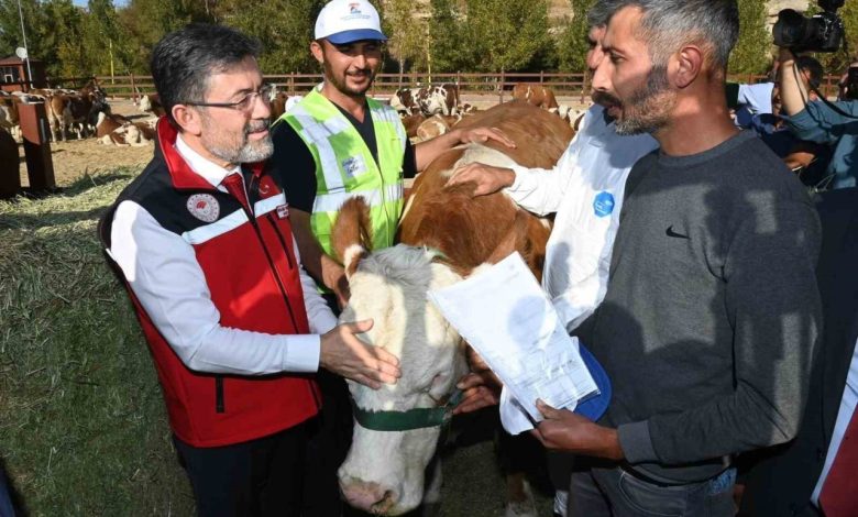 bakan yumakli kurban bayraminda 830 bin buyukbas ve 25 milyon kucukbas hayvan kesildigini acikladi d9344d750fb7 |