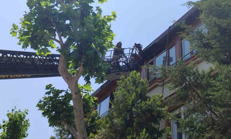 bakirkoyde korkutan yangin dab8bdaa24bb |