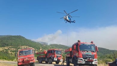 balikesirde 11 orman ve arazi yangini meydana geldi 23729c05cd50 |