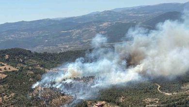balikesirde araziden ormana sicrayan yangina mudahale suruyor f1e71e56fba6 |