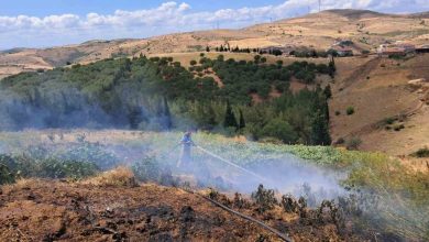 balikesirin altieylul ilcesinde 2 arazi yangini 131aff55628a |