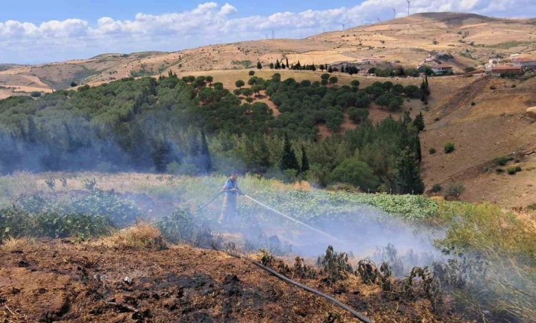 balikesirin altieylul ilcesinde 2 arazi yangini 131aff55628a |