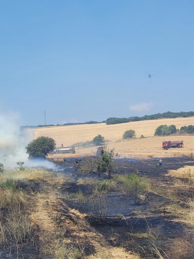 bigada tarim arazisinde cikan yangin kontrol altina alindi 9ecec459dc17 |