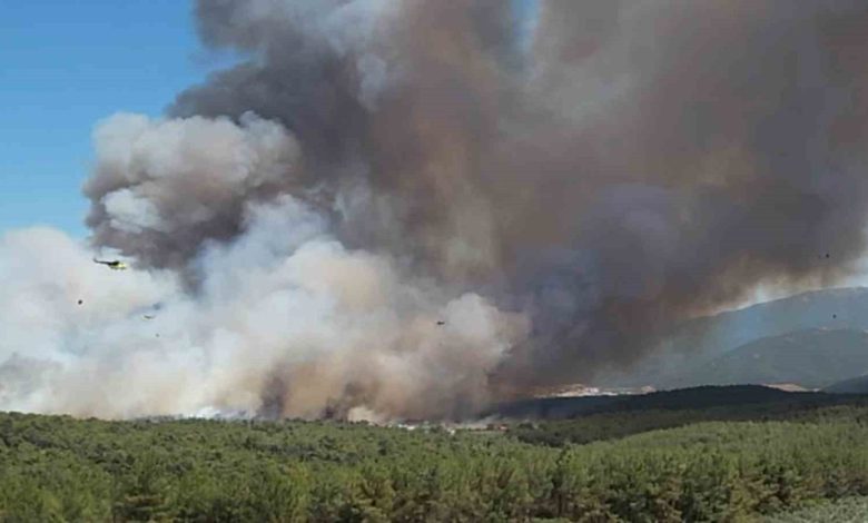 Bornova’daki yangın büyüdü; 8 uçak ve 17 helikopterle müdahale sürüyor 1 bornovadaki yangin buyudu 8 ucak ve 17 helikopterle mudahale suruyor dd384257d8d7 |