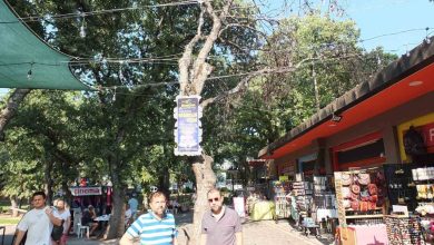 burhaniye de kuruyan agaclar tehlike saciyor 3022ebc3f1fb |
