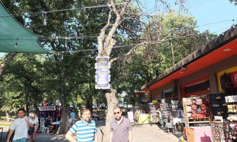 burhaniye de kuruyan agaclar tehlike saciyor 3022ebc3f1fb |