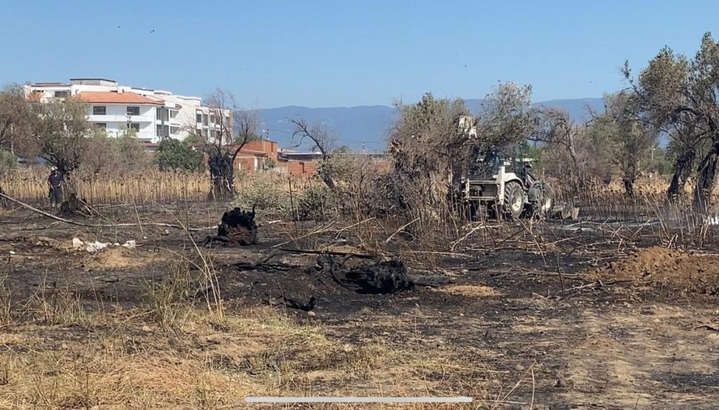 burhaniyede cikan yanginda cok sayida zeytin agaci kul oldu 32ee09632cd6 |