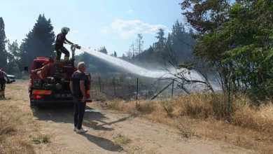 burhaniyede ot yanginlari bitmiyor b3a9a428ea38 |