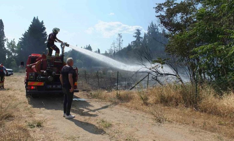 burhaniyede ot yanginlari bitmiyor b3a9a428ea38 |