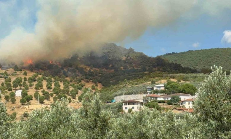 Bursa İznik’te büyük orman yangını 1 bursa iznikte buyuk orman yangini 2727e187b716 |