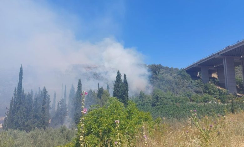 bursada cam ormani yaniyor a84f6f5e6a48 |