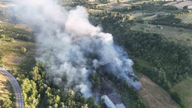 bursada coplukte cikan yangin ormana sicradi bc22cf783850 |