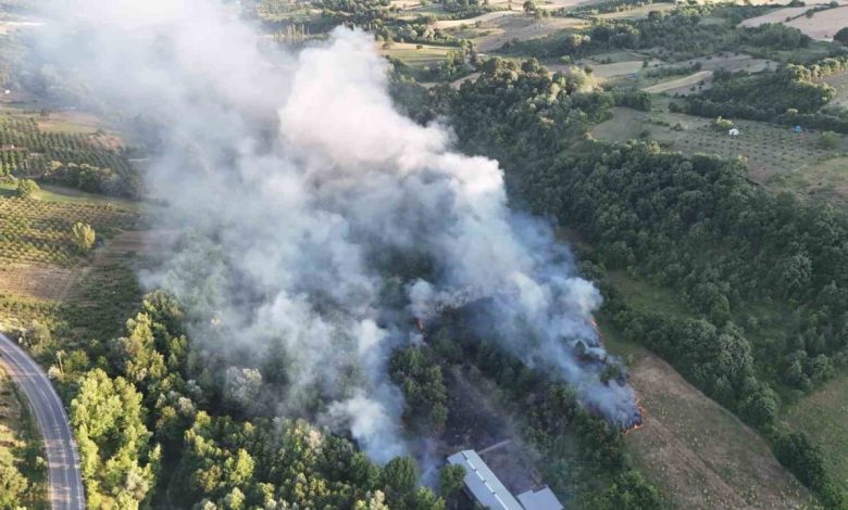 bursada coplukte cikan yangin ormana sicradi bc22cf783850 |