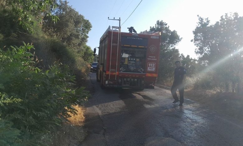 Bursa’da karga yangına neden oldu 1 bursada karga yangina neden oldu 04b234435e8f |