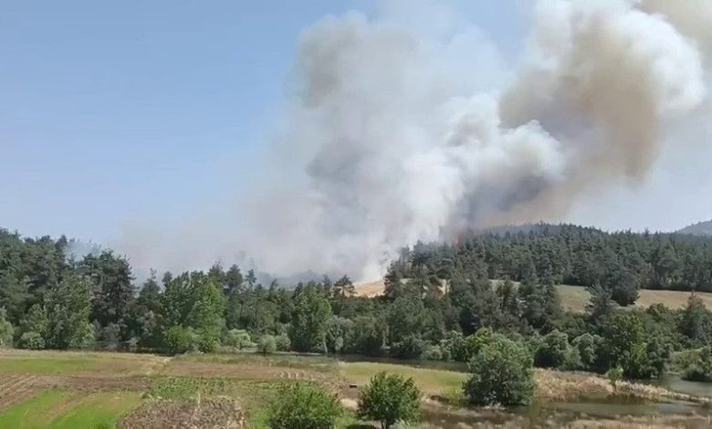 bursada orman yangini tas ocaklari mevkiindeki yangina karadan ve havadan mudahale d81cc46471a6 |