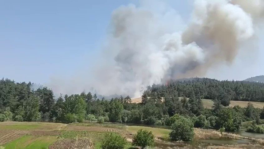 bursada orman yangini tas ocaklari mevkiindeki yangina karadan ve havadan mudahale d81cc46471a6 |