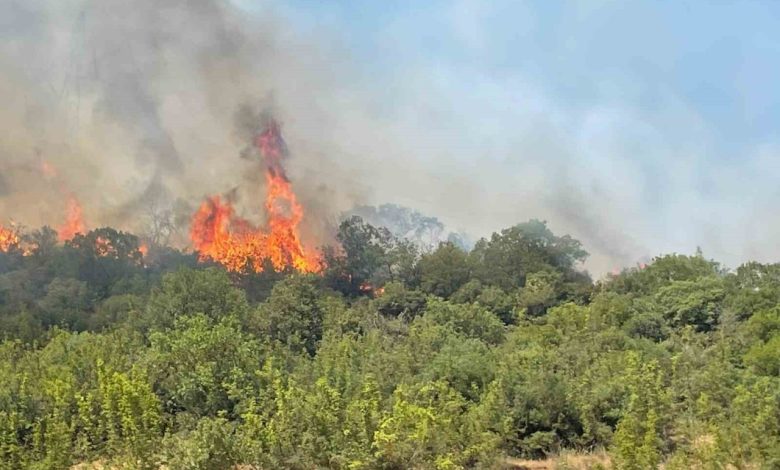 Bursa’da orman yangınlarının ardı arkası kesilmiyor 1 bursada orman yanginlarinin ardi arkasi kesilmiyor a7532f18f8d7 |