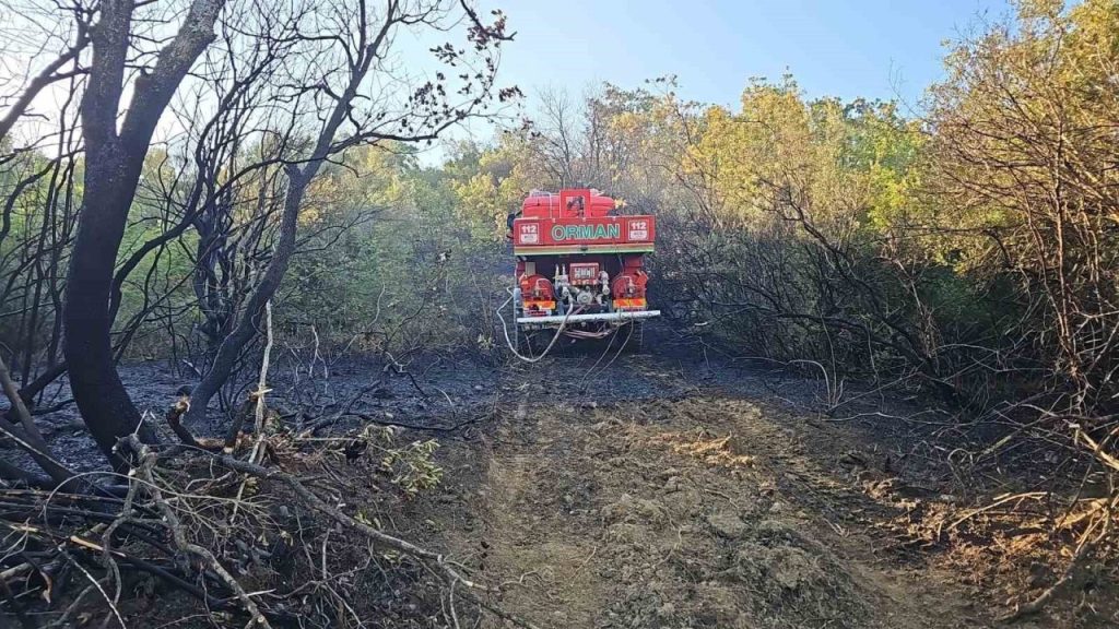 bursada ormanlik alanda cikan yangin kontrol altina alindi 8dd1e4cd6757 |