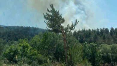 bursada ormanlik alanda yangin ekipler mudahale ediyor 5836bb6e8014 |
