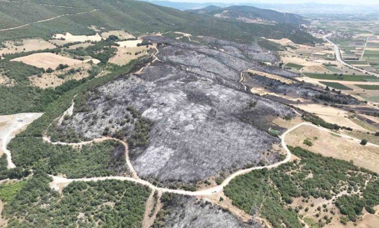 bursadaki yanginlarda 65 hektar kule dondu 5607c62dc2d3 |