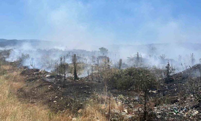 Çanakkale’de çöplük yangını söndürüldü 1 canakkalede copluk yangini sonduruldu 04018d6c6ffc |