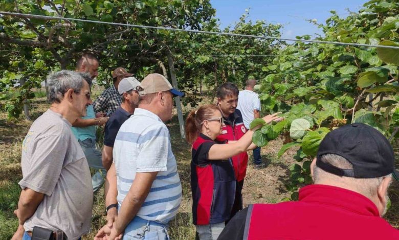 Çanakkale’de kahverengi kokarcalara karşı doğaya samuray arısı salındı 1 canakkalede kahverengi kokarcalara karsi dogaya samuray arisi salindi edeeba9bb409 |