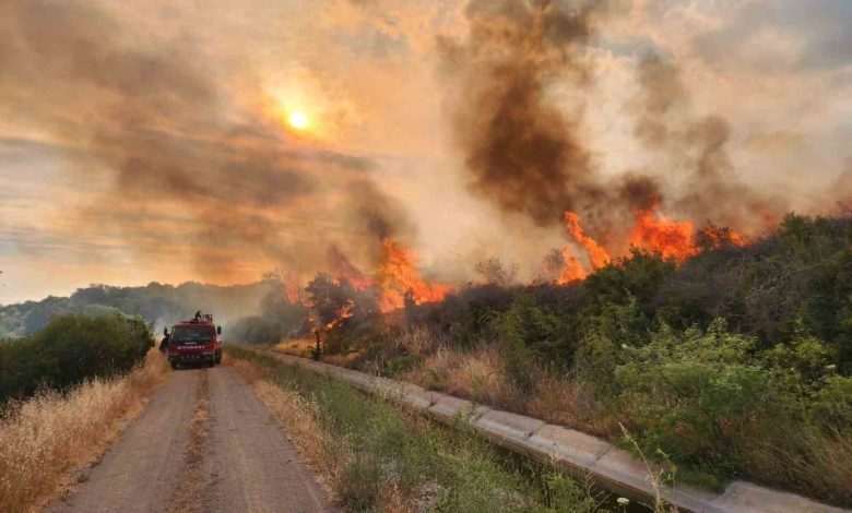 Çanakkale’de otluk alanda yangın 1 canakkalede otluk alanda yangin cf349d17e10d |