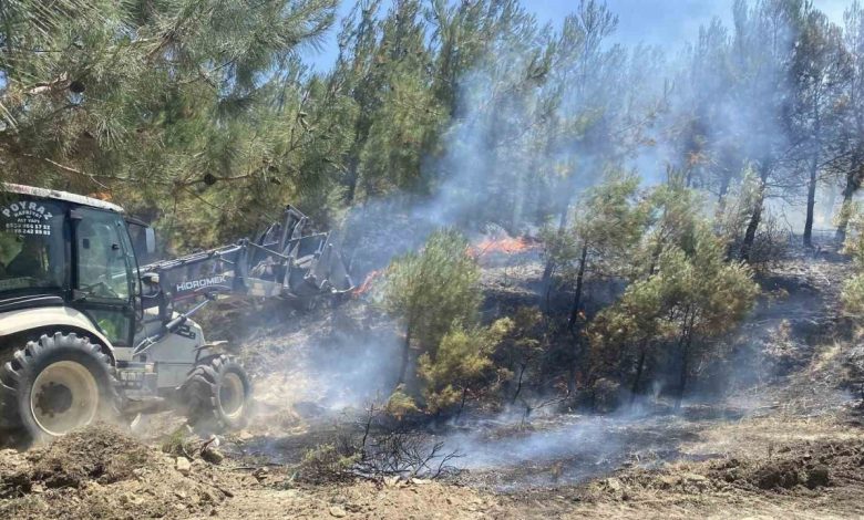 canakkalede tarim arazisinde baslayan yangin ormanlik alana sicradi 57112f982b2b |