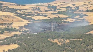 canakkalede tarim arazisinde baslayip ormana sicrayan yangin kontrol altina alindi 106c3b4755c2 |