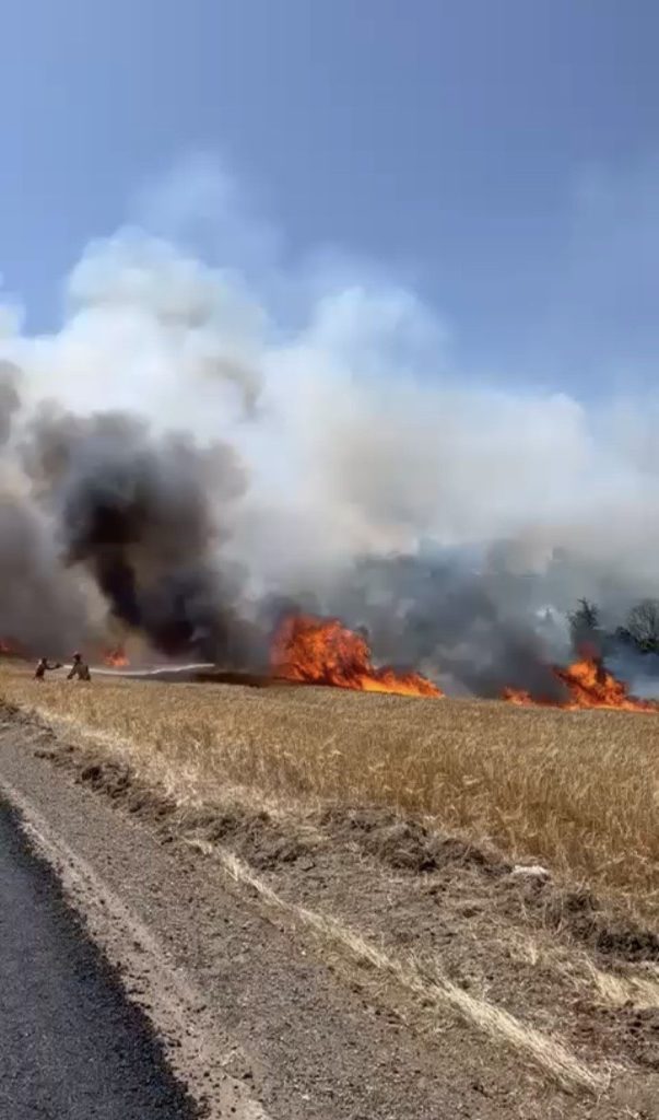 canakkalede tarim arazisinde yangin cikti 47f2d068839b |