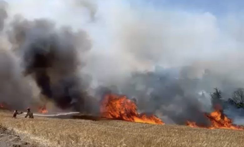 Çanakkale’de tarım arazisinde yangın çıktı 1 canakkalede tarim arazisinde yangin cikti 47f2d068839b |