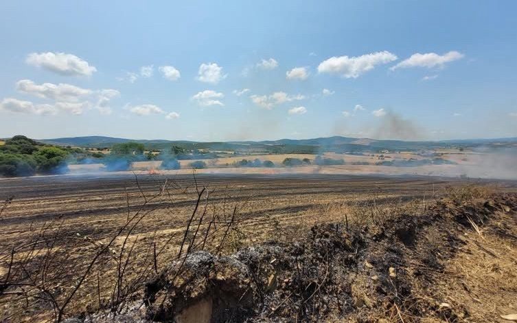 Çanakkale’de tarım arazisinde yangın 1 canakkalede tarim arazisinde yangin 7c064255a56b |