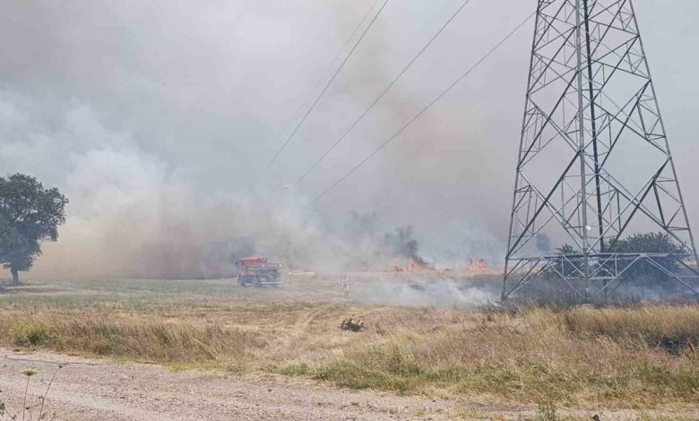 Çan’da tarım arazisinde çıkan yangın kontrol altına alındı 1 canda tarim arazisinde cikan yangin kontrol altina alindi 3b409ec088e2 |