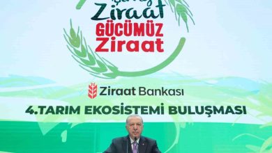 cumhurbaskani erdogandan muhalefete elestiri heybedeki irili ufakli turplar ahtapotun farkli yerlere uzanan kollari kendi arkadaslari tarafindan ortaya cikartiliyor e244f202c524 |