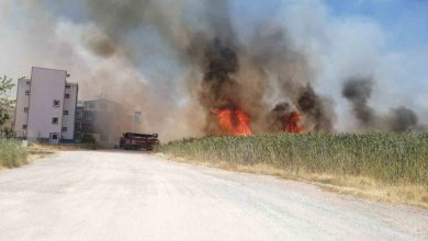 edremitte sazlik alanda yangin 274be7afefd1 |