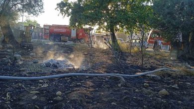 edremitte yanginda 123 zeytin agaci alev alev yandi 39d6109d6ea1 |