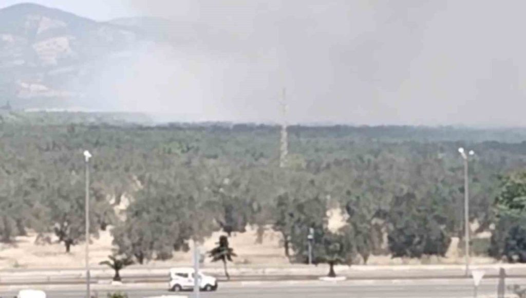 edremitte zeytinlik alanda yangin basladi 01b0198a7a33 |