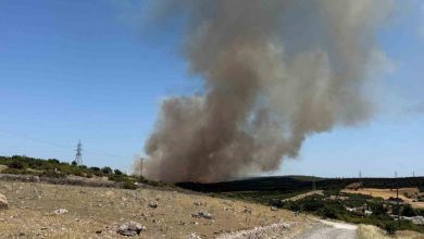 ezinede tarim arazisinde baslayan yangin ormanlik alana sicradi 19efcc33ff7f |