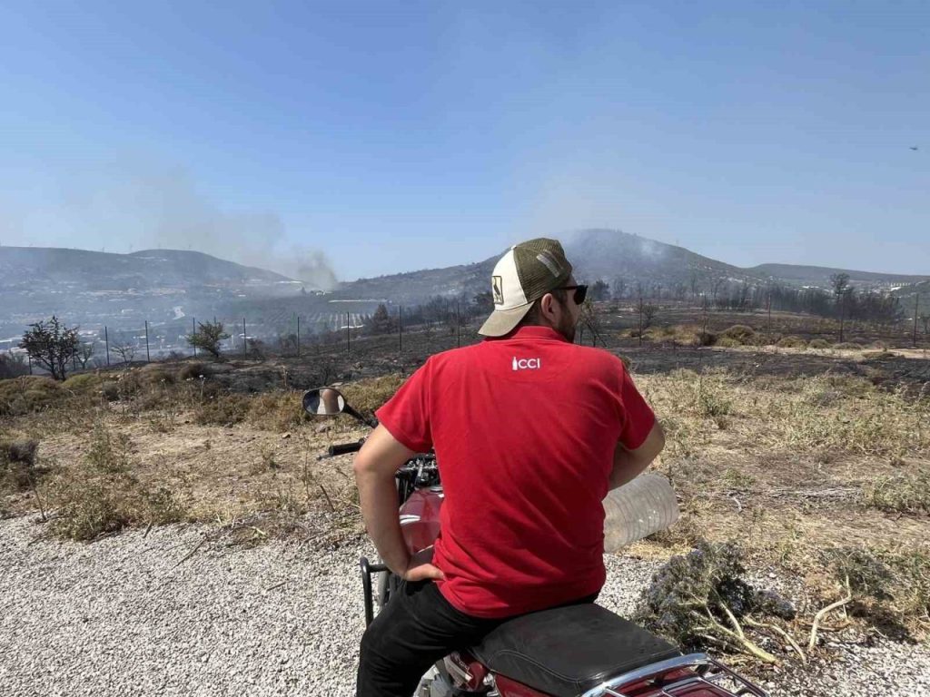 foca yangininda alevler evlerin bahcelerine kadar yaklasti 5d6abbf340cd |