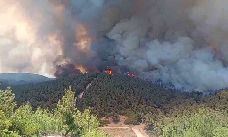 Foça’da orman yangınına havadan 11 uçakla müdahale 1 focada orman yanginina havadan 11 ucakla mudahale 6aeea43396db |